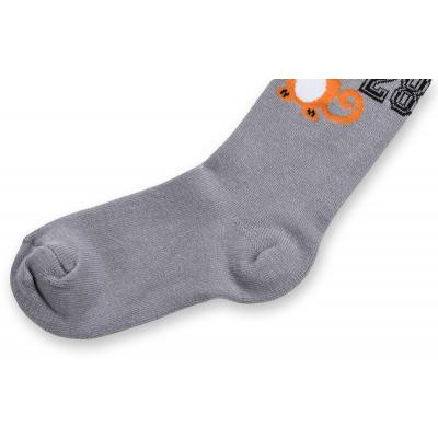Колготки дитячі UCS Socks &quot;Tiger&quot; сірі (M0C0301-0857-3B-gray)