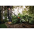 Сапа Fiskars Gardening розпушувач Solid 164см, 0.66кг (1016034)