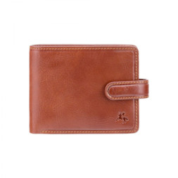 Гаманець Visconti TSC47 Riccardo з RFID Tan (TSC47 TAN)