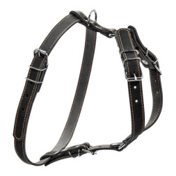 Шлея для собак Collar одинарна для малих та середніх порід Ш 20 мм А:40-56 см В:57-65 см чорна (06361)