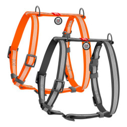Шлея для собак WAUDOG Waterproof анатомічна Н-подібна з QR-паспортом XL сіра (324411)