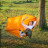 Гамак Naturehike NH22DC008 Orange (6927595700761)