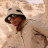 Капелюх Salewa Puez Hemp Brimmed Hat 28924 7020 M/58 (013.012.1032)