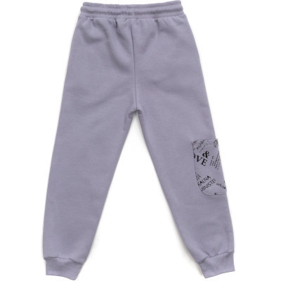 Спортивний костюм дитячий Toontoy на флісі (16794-116G-gray)