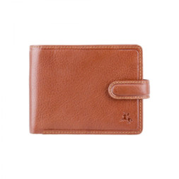 Гаманець Visconti TSC48 Filipo з RFID Tan (TSC48 TAN)