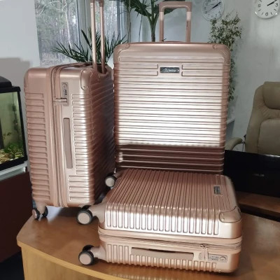 Валіза Swissbrand Rome (M) Rose Gold (SWB_LHROM003M) (DAS302561)