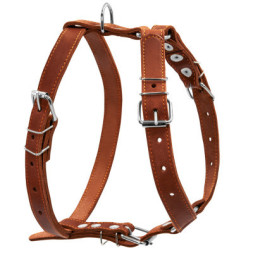Шлея для собак Collar одинарна для середніх порід Ш 25 мм А:49-68 см В:68-80 см коричнева (06386)