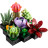 Конструктор LEGO Botanicals Сукуленти (10309-)