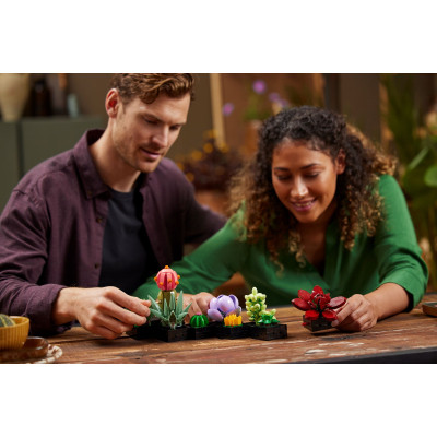 Конструктор LEGO Botanicals Сукуленти (10309-)