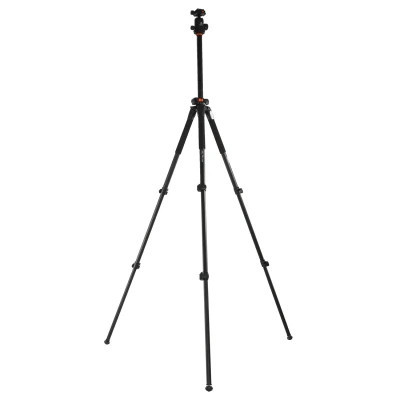 Штатив Vanguard Alta Pro 263AB 100 (DAS301277)